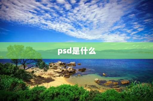 psd是什么 PSD啥意思？