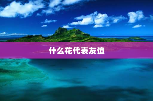 什么花代表友谊 花的暗语代表的意思？