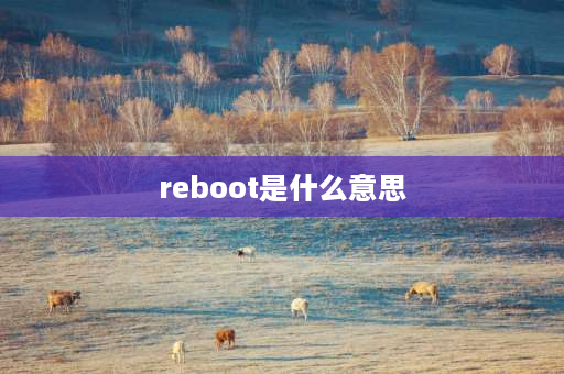 reboot是什么意思 重启的词性？