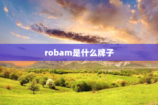 robam是什么牌子 roban是什么牌子灶具？