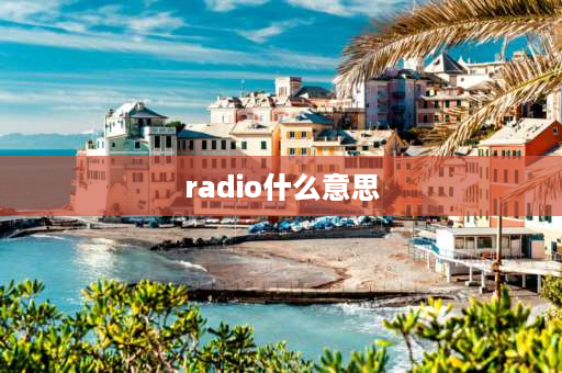 radio什么意思 radio按钮介绍？