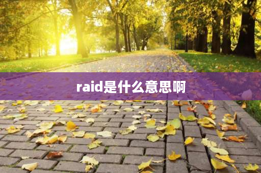 raid是什么意思啊 电脑上的RAID是啥意思？