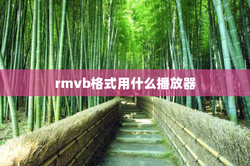 rmvb格式用什么播放器 rmvb格式用什么播放？