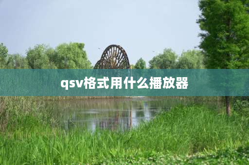 qsv格式用什么播放器 QSV怎么转换？