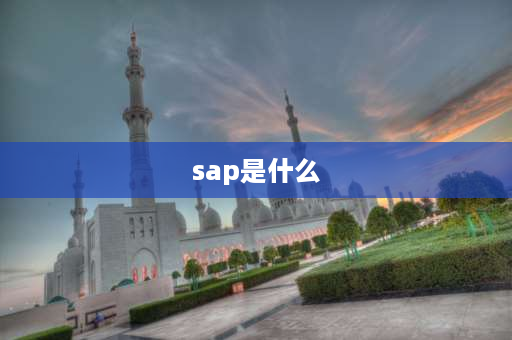 sap是什么 SAP是什么意思？