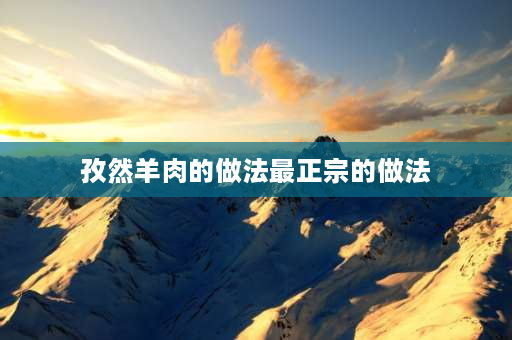 孜然羊肉的做法最正宗的做法 孜然牛羊肉最正宗的做法？