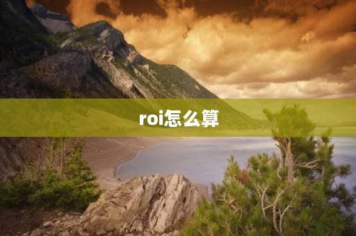 roi怎么算 roi转化怎么计算？