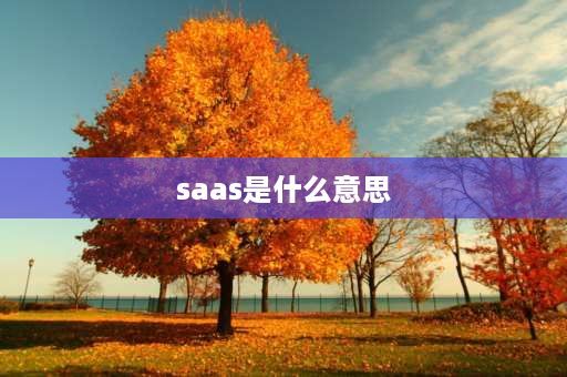 saas是什么意思 云计算行业的saas是什么意思呢？