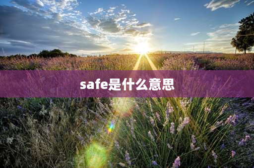 safe是什么意思 SaFe是什么意思？