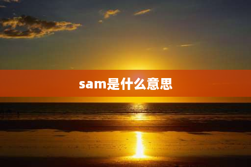 sam是什么意思 小学英语三年级上册pep中的Sam是什么意思？