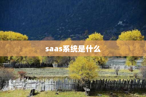 saas系统是什么 SAAS系统到底是什么？