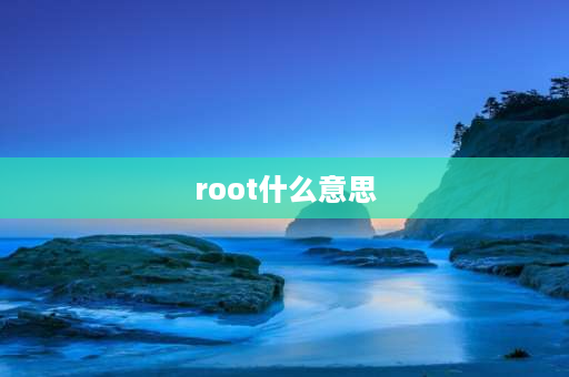 root什么意思 rOOt什么意思？