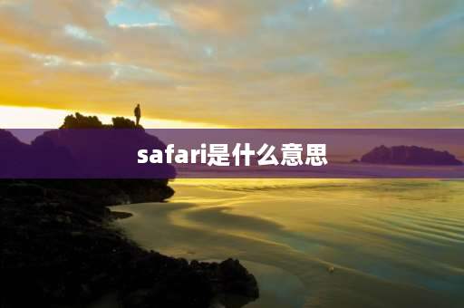 safari是什么意思 IE浏览器是什么意思？