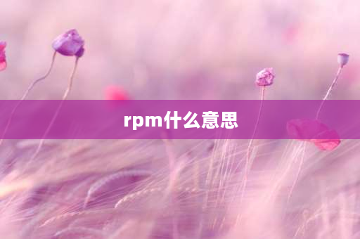 rpm什么意思 RPM是什么意思？