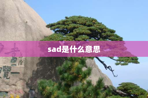 sad是什么意思 sad是及物动词吗？