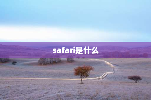 safari是什么 IE浏览器是什么意思？