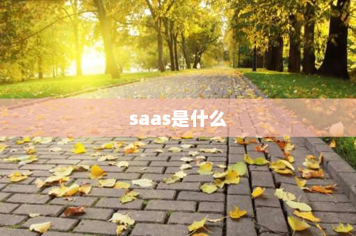 saas是什么 SAAS到底是什么？