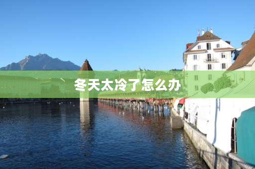 冬天太冷了怎么办 冬天太冷，不想出门，也不想呆在家里睡觉，那我该做些什么呢？