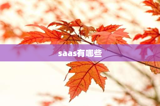 saas有哪些 saas是什么意思？