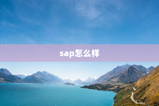 sap怎么样 在国内sap b1管理系统优缺点有哪些？