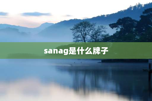 sanag是什么牌子 sanag和漫步者蓝牙耳机哪个好？