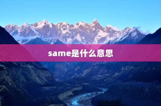 same是什么意思 Same和any的用法区别？