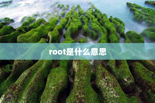 root是什么意思 root是什么意思？root后会有什么后果？