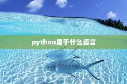 python属于什么语言 Python语言是一种什么语言？