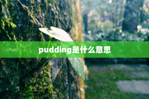 pudding是什么意思 pbt俗称叫什么？