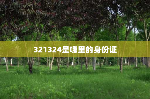 321324是哪里的身份证 320102196510263379代表什么意思？