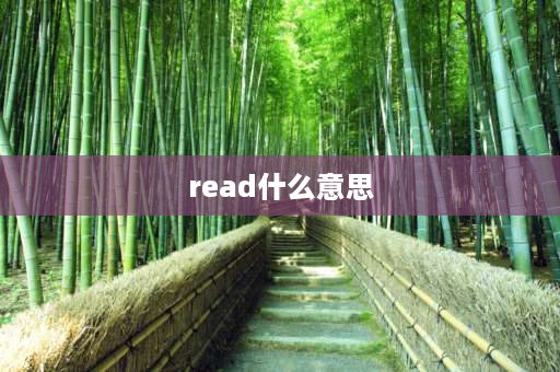 read什么意思 read和watch有什么区别？