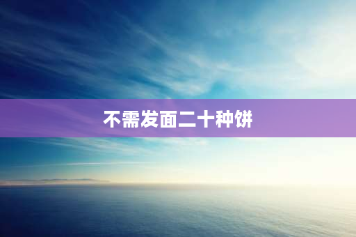 不需发面二十种饼 家常饼的15种做法？