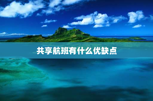 共享航班有什么优缺点 上航的共享是怎么回事？