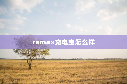 remax充电宝怎么样 支付宝remax充电宝质量怎么样？