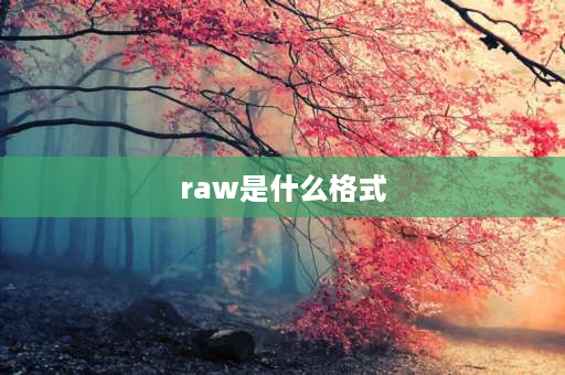 raw是什么格式 raw视频格式？