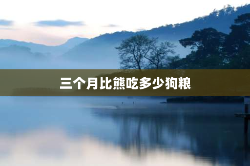 三个月比熊吃多少狗粮 三个月左右的比熊应该吃什么好？