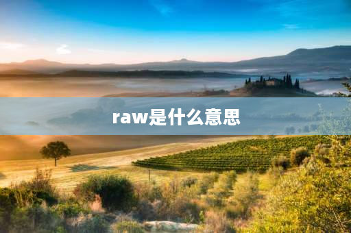 raw是什么意思 拍摄RAW是中的RAW是什么意思？