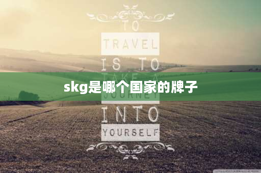 skg是哪个国家的牌子 skg马桶是什么牌子？