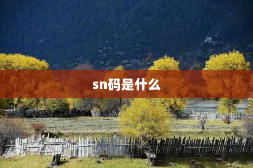 sn码是什么 什么是手机sn码？