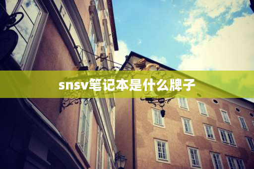 snsv笔记本是什么牌子 华硕snsv笔记本说明书？