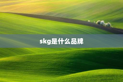 skg是什么品牌 SKG是什么牌子？