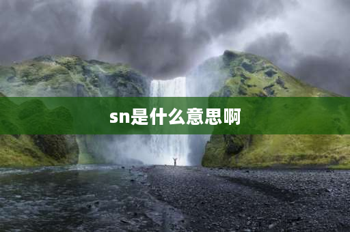 sn是什么意思啊 SN是什么意思？