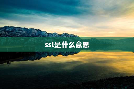 ssl是什么意思 SSl是什么意思？