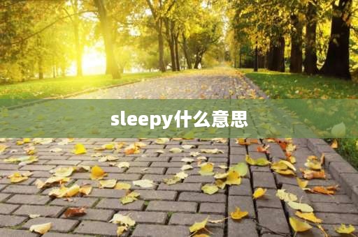 sleepy什么意思 Asleep和Sleepy的区别？