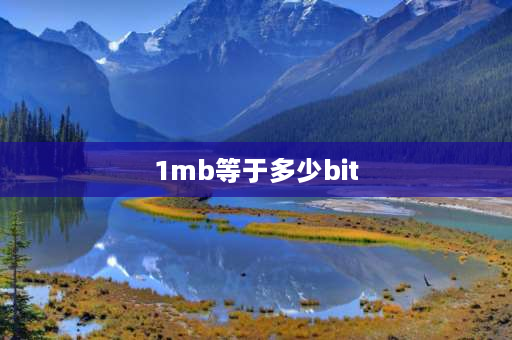 1mb等于多少bit 1mb等于多少b？