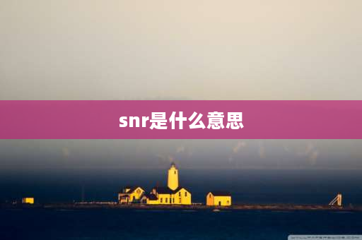 snr是什么意思 snr可以是什么的缩写？