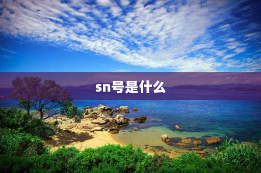 sn号是什么 电脑sn码是什么意思？