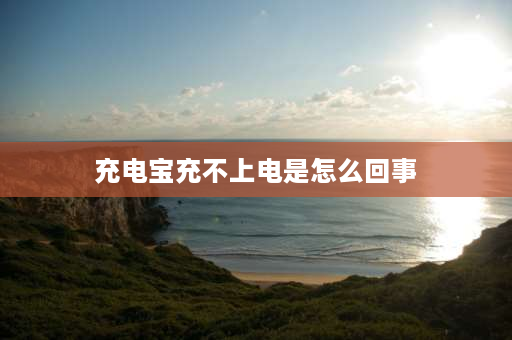 充电宝充不上电是怎么回事 充电宝冲不进去电了怎么解决？