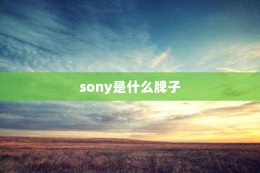 sony是什么牌子 索尼是什么意思呢？