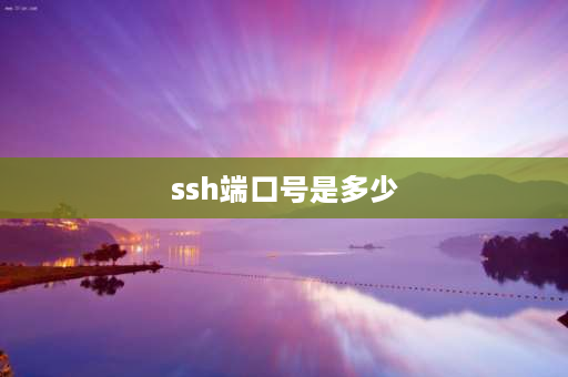 ssh端口号是多少 ssh开头的单词？